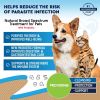 Cats and Dogs Natural Worm Treatment with Probiotic Liquid Herbal Medicine Prevention Medication Supplement Drops for Kitten and Puppies for Daily Us