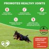 Dog Hip and Joint Supplement Arthritis Pain Relief Treats Glucosamine Chondroitin MSM Soft Chews for Senior Dogs Natural Medicine & Support Mobility